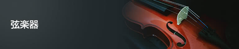 弦楽器