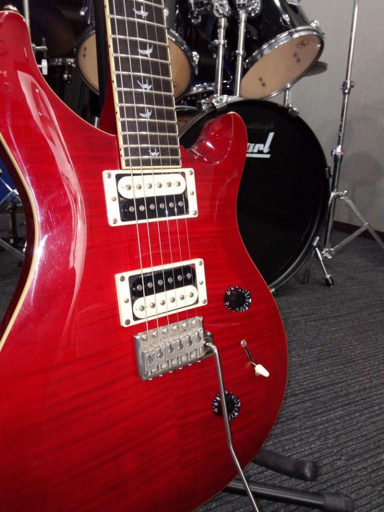 ポール・リード・スミスのインレイ